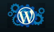 IMPORTANT TIPS FOR WORDPRESS USERS IN HINDI