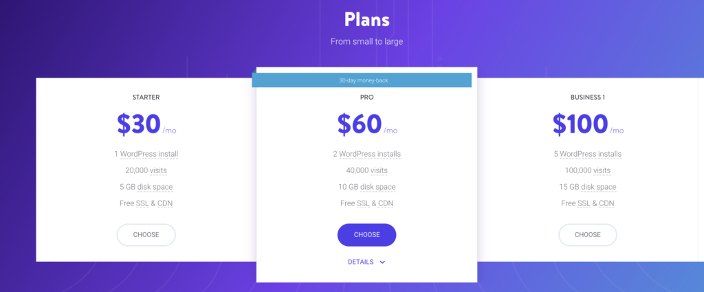 Kinsta hosting pricing